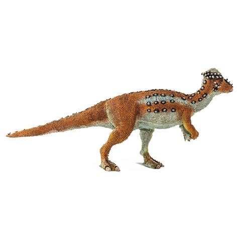 Prehistoric World Pachycephalosaurus New For 2020 From Wild Safari