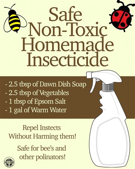 How To Make A Safe Homemade Insecticide Asheville Lawn N Order