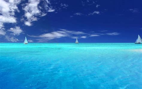 [Free Wallpaper][Sea Live], Worth Watching Wallpapers of Sea View. you