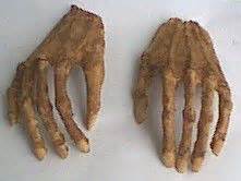 17 Best images about skeleton hand on Pinterest | Body parts, Diy