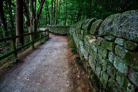 Free Images Tree Nature Forest Path Pathway Rock Wilderness