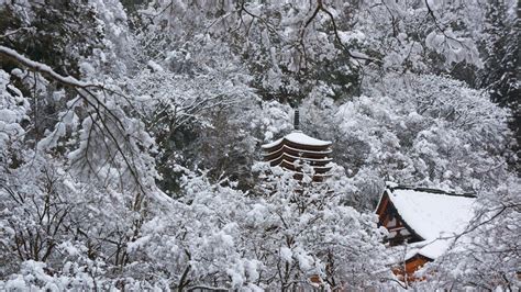Japan Landscapes Snow Trees Asia Temple Wallpaper 28049
