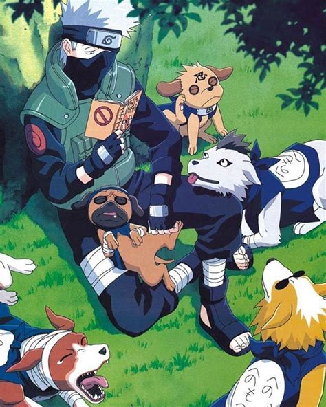 Kakashi And His Ninja Dogs I Dont Want To Do School Today