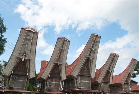 Tongkonan Houses Traditional Torajan Buildings Tana Toraja Sulawesi