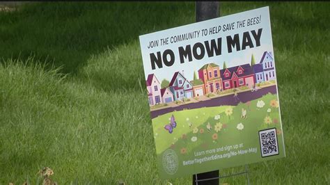 What Exactly Is No Mow May