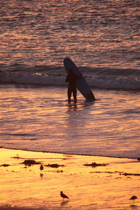 Sunset Surfing At Torrance Beach California Torrance Beach Sunset
