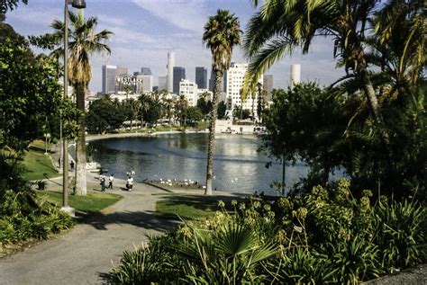 Macarthur Park In Los Angeles California Image Free Stock Photo