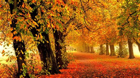 Windows Autumn Wallpapers Wallpaper 1 Source For Free Awesome