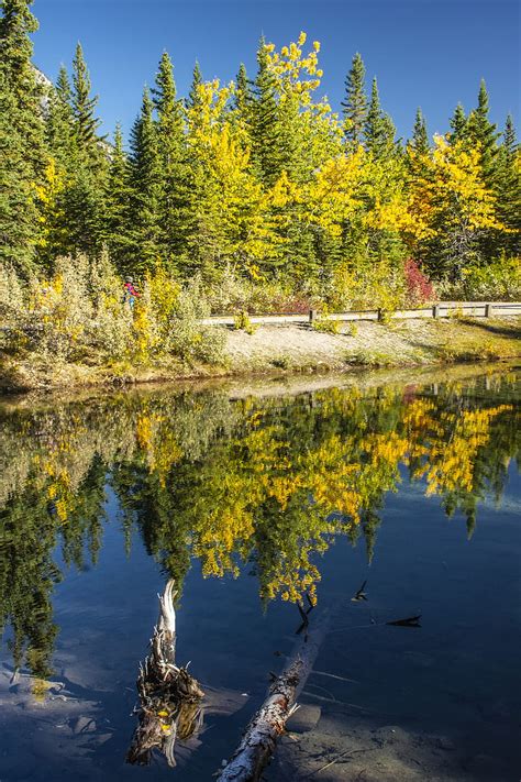 Autumn Trees Lake Water Reflection Hd Phone Wallpaper Peakpx
