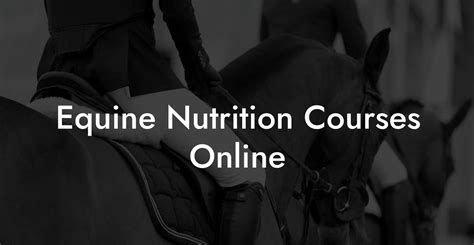Equine Nutrition Courses Online - How To Own a Horse
