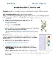 Building dna answer key vocabulary: Student Exploration Building Dna Gizmo Answer Key Pdf + My ...