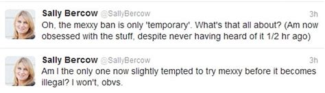 Sally Bercow On Diamond Jubilee Twitter Error And That Bed Sheet