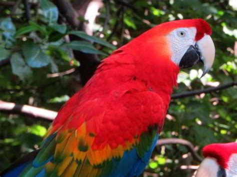 Y sentarse a descansar, en lugar de y a un amigo. WHAT R THE BEST TIME & PLACES TO VISIT IN ECUADOR 2020?