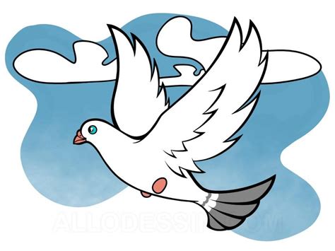 Comment dessiner une colombe qui vole – AlloDessin