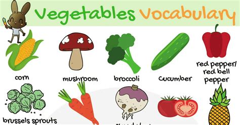 Vegetable Names In English With Pictures Pdf