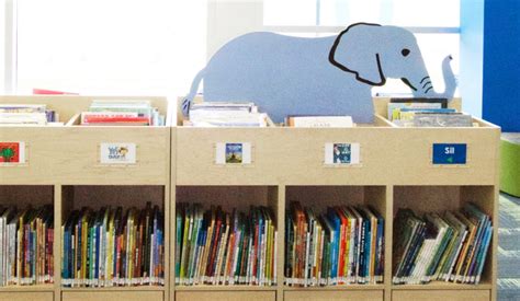 Book Bins With Animals Make Learning And Reading In Any Kids Library