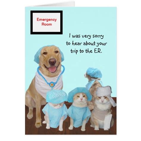 Funny Pets Get Well Er Card Zazzle