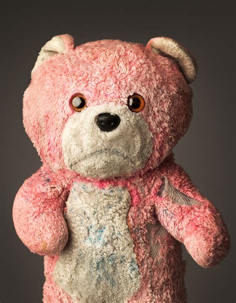 Much Loved Photos Of Old Stuffed Animals By Mark Nixon Daily Design