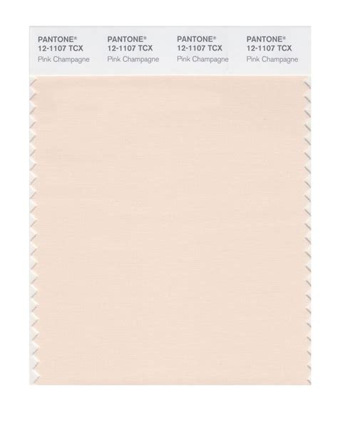 2nd Champagne Option Pantone Color Swatch Pink Skin Tone