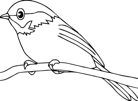 Download American Robin coloring for free - Designlooter 2020 👨‍🎨