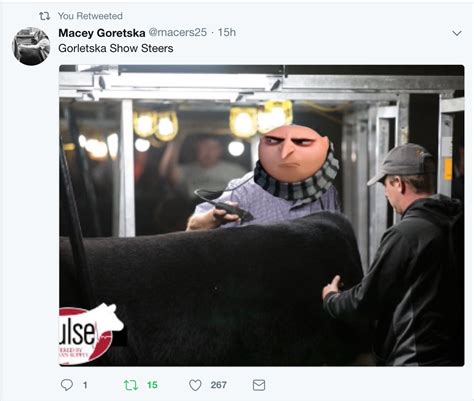 Trending images and videos related to stock photo! Stock Show Meme Fun! | The Pulse