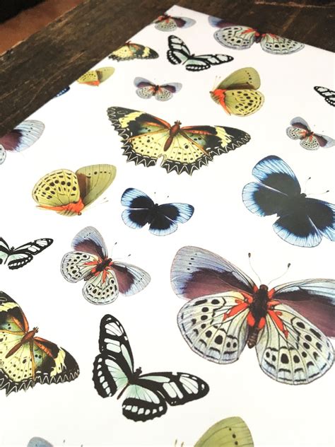 Butterfly Wrapping Paper Recycled T Wrap Etsy