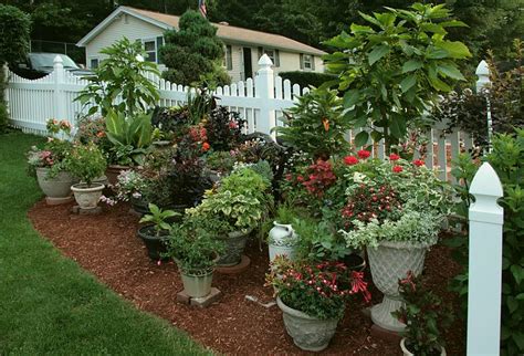 Container Gardening For The Renter