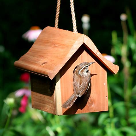 Best Bird Houses For Different Types Of Birds