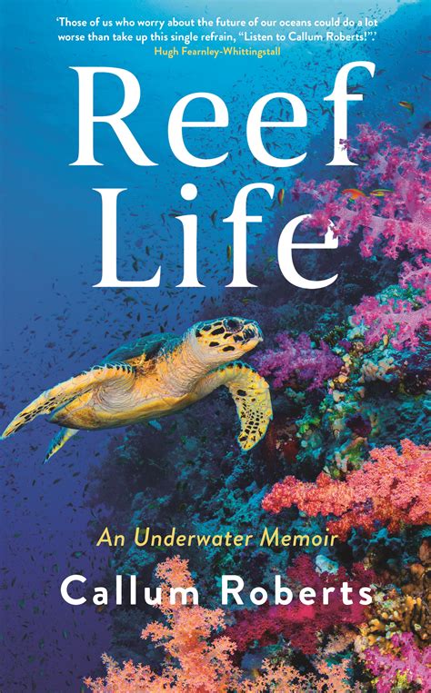 Reef Life Callum Roberts 9781788162159 Allen And Unwin Australia