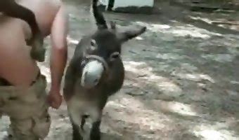 Vídeo de sexo en una granja loca con un burro Porno Bizarro Sexo