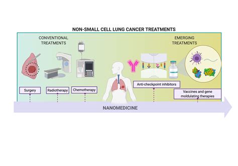 Cancers Free Full Text Nanomedicine In Non Small Cell Lung Cancer