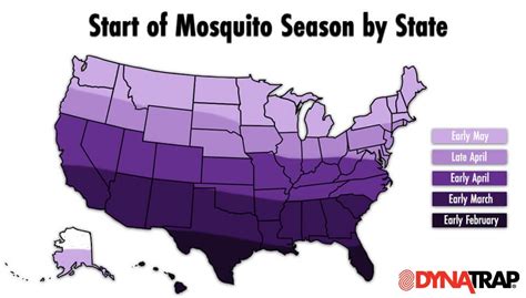 What Is Mosquito Season And When Does It Occur