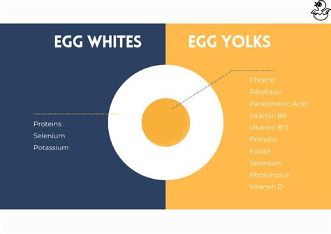 Essential nutrients found in eggs in 2024 | How to help nausea, Eggs