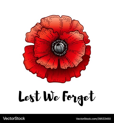 Remembrance Day Poppy With Lest We Forget Text Vector Image