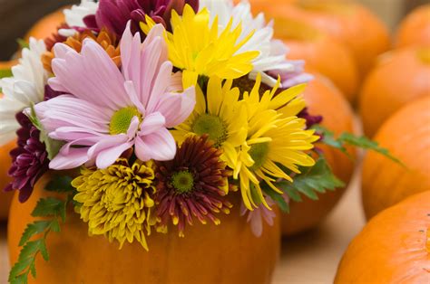 Fall Harvest Activities For Horticultural Therapy My Chicago Botanic