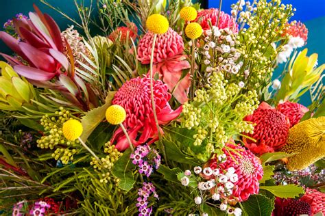 Quiz How Well Do You Know Your Australian Flowers
