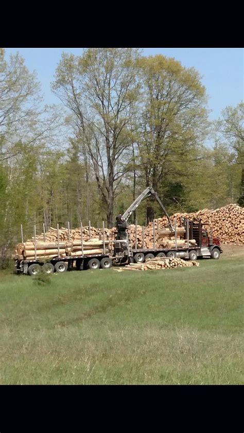 Michigan Timber Servicessawmill What We Offer Northern Michigan