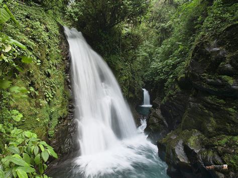 La Paz Waterfall Gardens A Must See Place In Central Highlands Costa