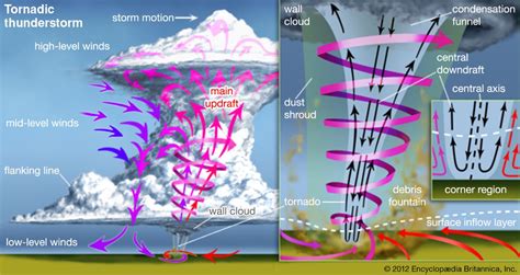 8 Jenis Angin Fohn Tornado Monsun Siklon Beserta Gambarnya Edu