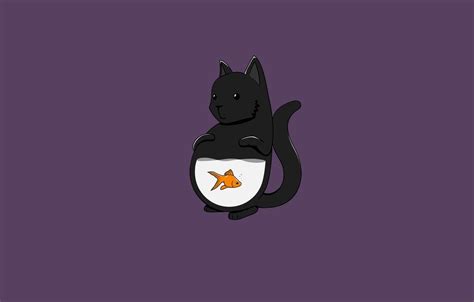 Cat Minimalist Wallpapers Wallpaper Cave