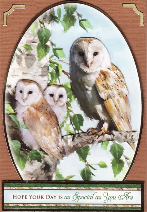 Owl Birthday Card Birthday Card With Owls Royalty Free Vector Image