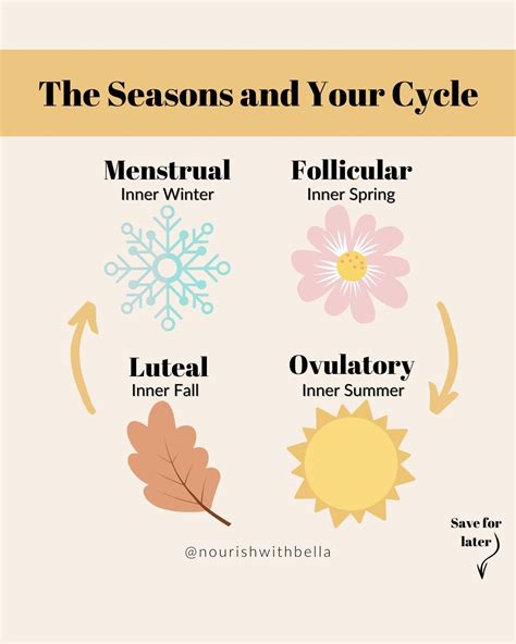 the four season and how they relate to your menstrual cycle learn how to balance hormones and