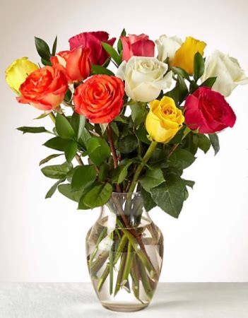 Stachys species, florida betony, rattlesnake weed, florida hedgenettle, lamb's ear stachys floridana. Rainbow Roses Dozen mixed color roses in Pensacola, FL ...