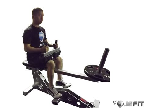 Seated Calf Raise Exercise Database Jefit Best Android And Iphone