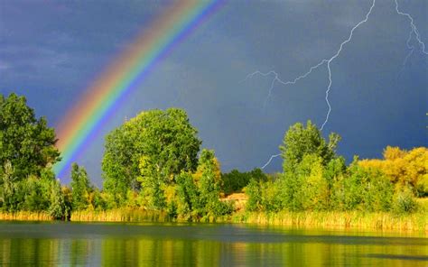 Real Rainbows Vdudesv