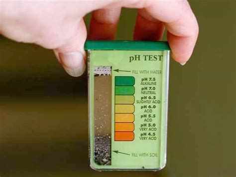 Read on to find out how to test, adjust and balance your the ph level is a measure of acidity that is represented by a value between 0 and 14. For the lawn and garden, step one is knowing your soil ...