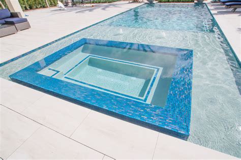 Custom Spa With Infinity Edge Swimming Pool Sunshelf And Water Bowls