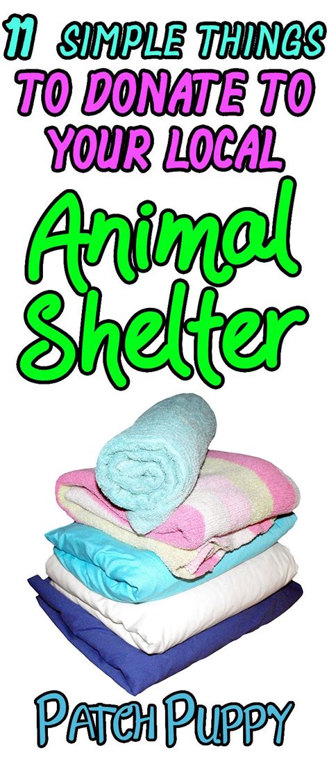 Check your local shelter to find out their age requirement (i'll get into how to locate a shelter below). Things to Donate to Animal Shelters, The Dos and the Most ...