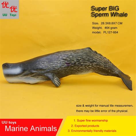 Super Big Sperm Whale Spermacet Whale Simulation Model Marine Animals