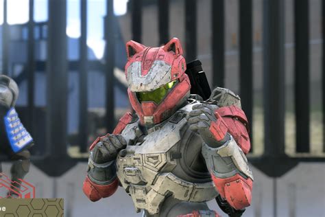 Halo Infinite Has A New Cat Helmet And I Love It Polygon